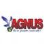 Colégio E Curso Agnus