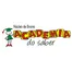 Núcleo de Ensino Academia do Saber
