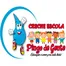 Creche Escola Pingo De Gente