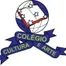 Colégio Cultura E Arte