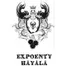 Oficina De Ensino Expoenty Hayala