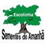 Escolinha Sementes Do Amanha