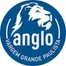 Colégio Anglo - Ensino Médio