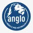 Anglo - Ensino Médio & Pré-vestibular