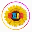 Ceig - Centro Educacional Girassol - Rio Verde