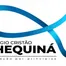 Colégio Cristão Shequiná