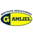 Instituto Educacional Gamliel