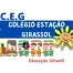 Colegio Estação Girassol