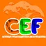 Centro Educacional Flamboyants