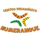 Logo - Centro Pedagógico Bumerangue