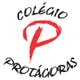 Logo - Colégio Protágoras Logo - Colégio Protágoras