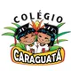 Logo - Colégio Caraguatá