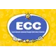 Logo - Construindo Conhecimento Eeief