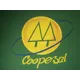 Logo - Cooperativa Educacional De Salinas – Coopesal