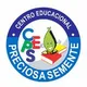 Logo - Centro Educacional Preciosa Semente
