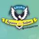 Logo - Instituto Águias Do Saber