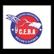 Logo - Centro Educacional Brilho E Alegria