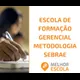 Logo - Escola De Formação Gerencial Metodologia Sebrae