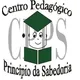 Logo - Centro Pedagógico Principio Da Sabedoria
