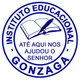 Logo - Instituto Educacional Gonzaga