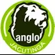 Logo - Colégio Anglo Jacutinga