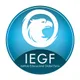 Logo - Instituto Educacional Global Fenix – Iegf