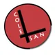 Logo - Colégio Santo André