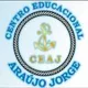 Logo - Centro Educacional Araújo Jorge (estrelinha Mágica)