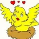 Logo - Ninho D Ouro Logo - Ninho D Ouro