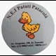 Logo - Núcleo De Educação Infantil Patati Patacolá Logo - Núcleo De Educação Infantil Patati Patacolá