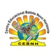 Logo - Centro Educacional Batista Novo Horizonte