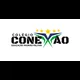 Logo - Colégio Conexão
