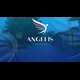 Logo - Colégio Angelis