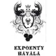 Logo - Oficina De Ensino Expoenty Hayala