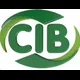 Logo - Colégio Irene Borges