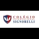 Logo - Colegio Internacional Signorelli