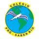 Logo - Colégio Pró-saber Bio