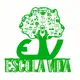 Logo - Escola Vida