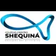 Logo - Colégio Cristão Shequiná
