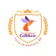 Logo - Escola Collibrir Logo - Escola Collibrir