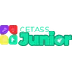 Logo - Cetass Junior