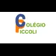 Logo - Colégio Piccoli