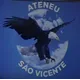 Logo - Ateneu São Vicente – Unidade Infantil Logo - Ateneu São Vicente – Unidade Infantil