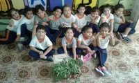 Escola Infantil Sapere Domus - Imagem 3