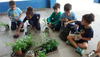 Escola Borghesi - Imagem 2