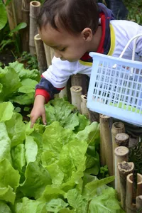 Centro De Educação Infantil Mosaico Montessori - Imagem 1