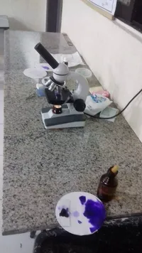 Centro De Educação Básica Para Jovens E Adultos A Distância Mathisa - Imagem 1