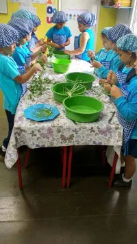 Escola Índio Amigo - Imagem 3