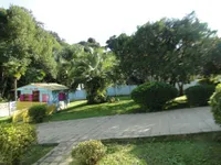 Cei Angelical - Imagem 3