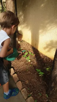 Sistema De Educação Officina Das Letras - Imagem 3